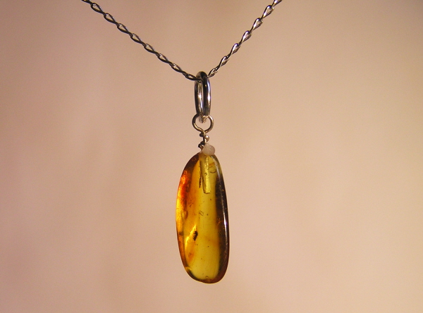 Baltic Amber Necklace - Containing A Real Insect! | U_AMBINS7 ...